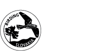 Birding Slovakia